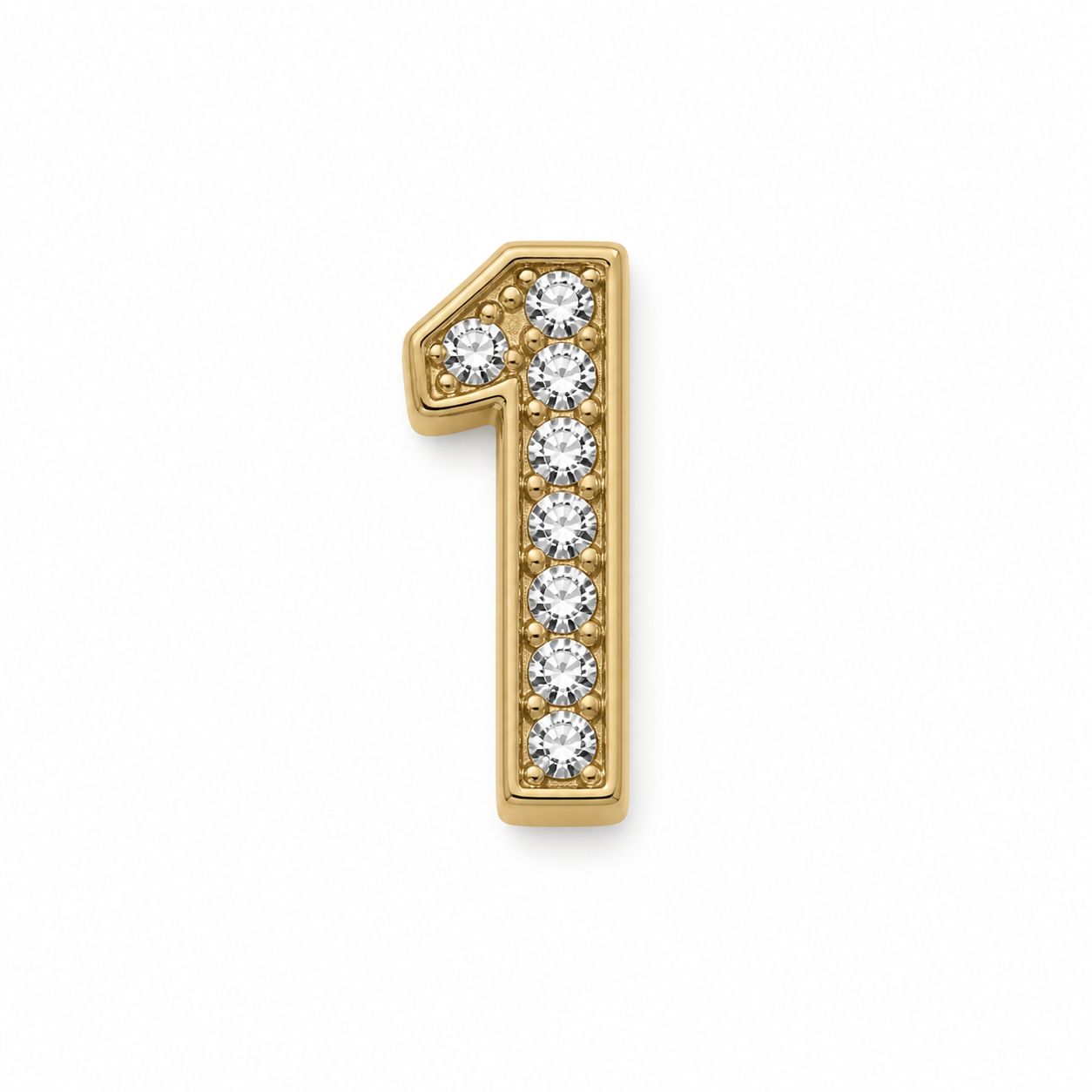 Interchangeable Magnetic Collar Charms