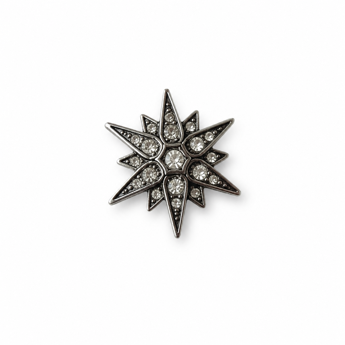 Interchangeable Magnetic Collar Charms