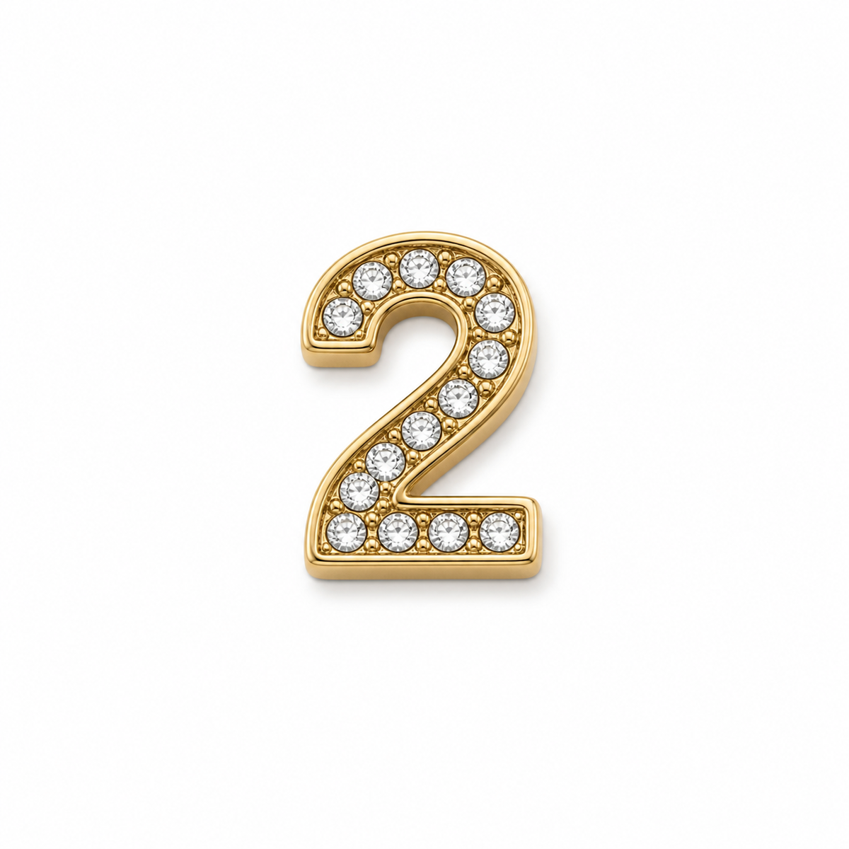 Interchangeable Magnetic Collar Charms